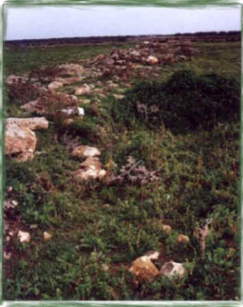Saggio Casa Porcara novembre '99
